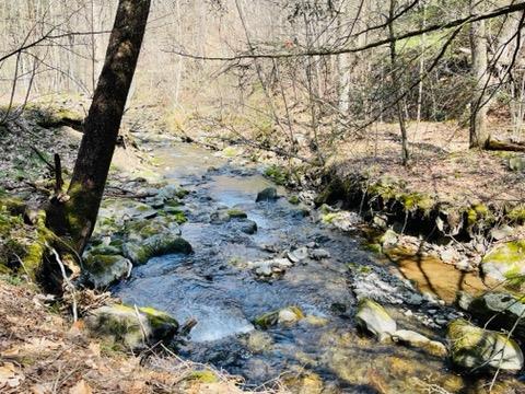 0 Carcass Brook Road Walton, NY 13856 - Photo 1 of 1 Gallery Image 1