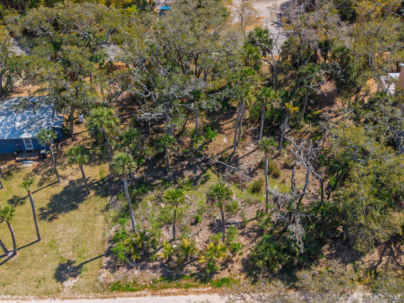 307 Jungle Road Edisto Island, SC 29438 - Photo 4 of 11 307 Jungle Road