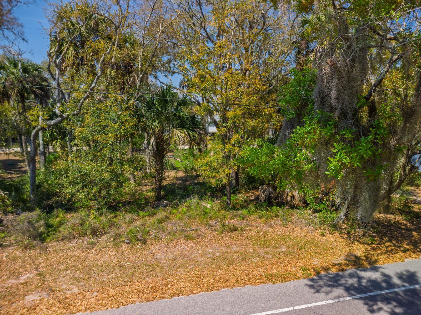 307 Jungle Road Edisto Island, SC 29438 - Photo 5 of 11 307 Jungle Road