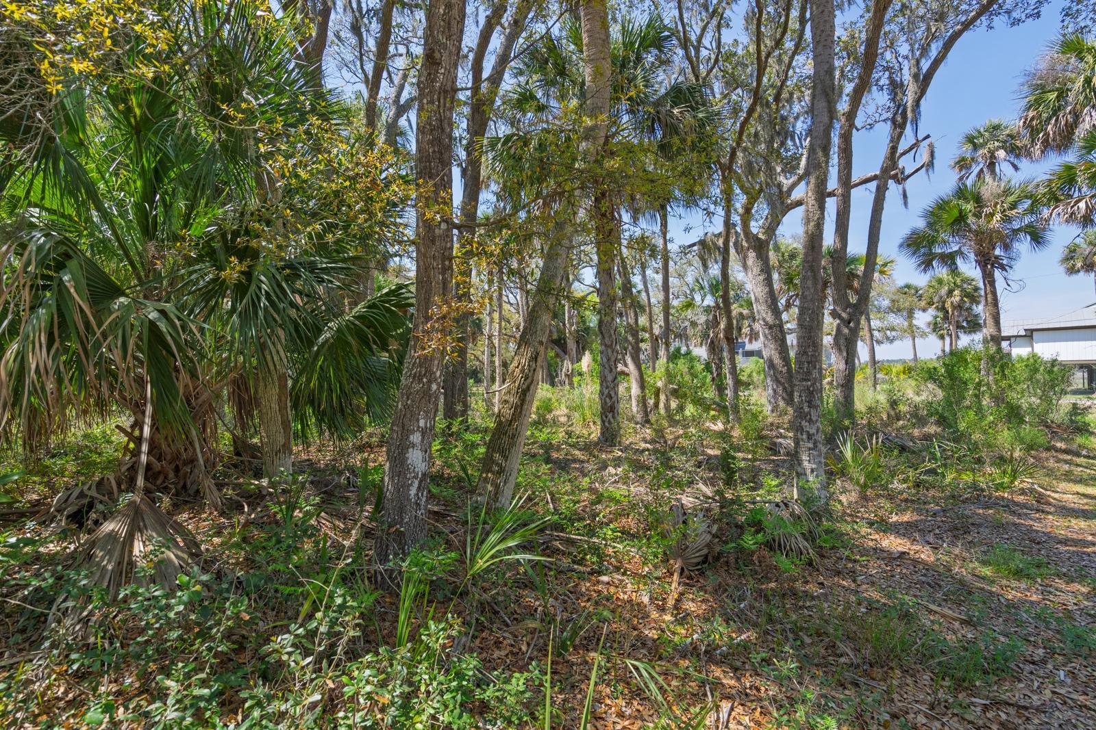307 Jungle Road Edisto Island, SC 29438 - Photo 6 of 11 307 Jungle Road