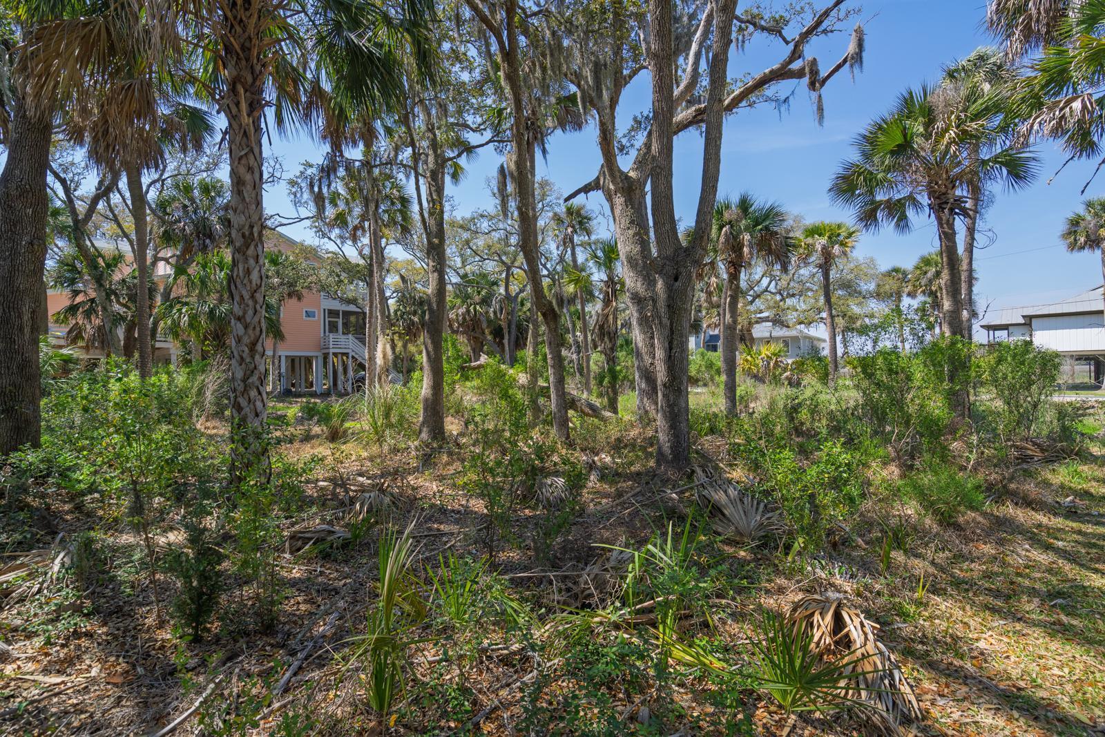 307 Jungle Road Edisto Island, SC 29438 - Photo 7 of 11 307 Jungle Road