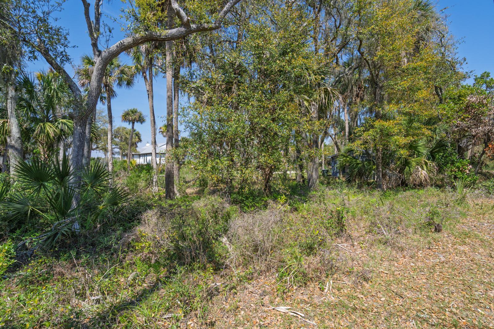 307 Jungle Road Edisto Island, SC 29438 - Photo 8 of 11 307 Jungle Road