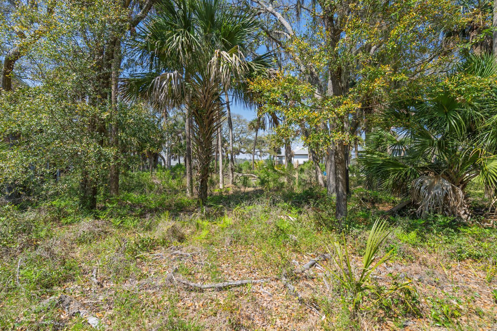 307 Jungle Road Edisto Island, SC 29438 - Photo 9 of 11 307 Jungle Road