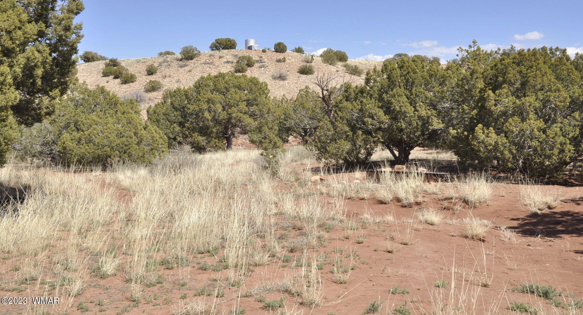 280 County Road Concho, AZ 85924 - Photo 33 of 45
