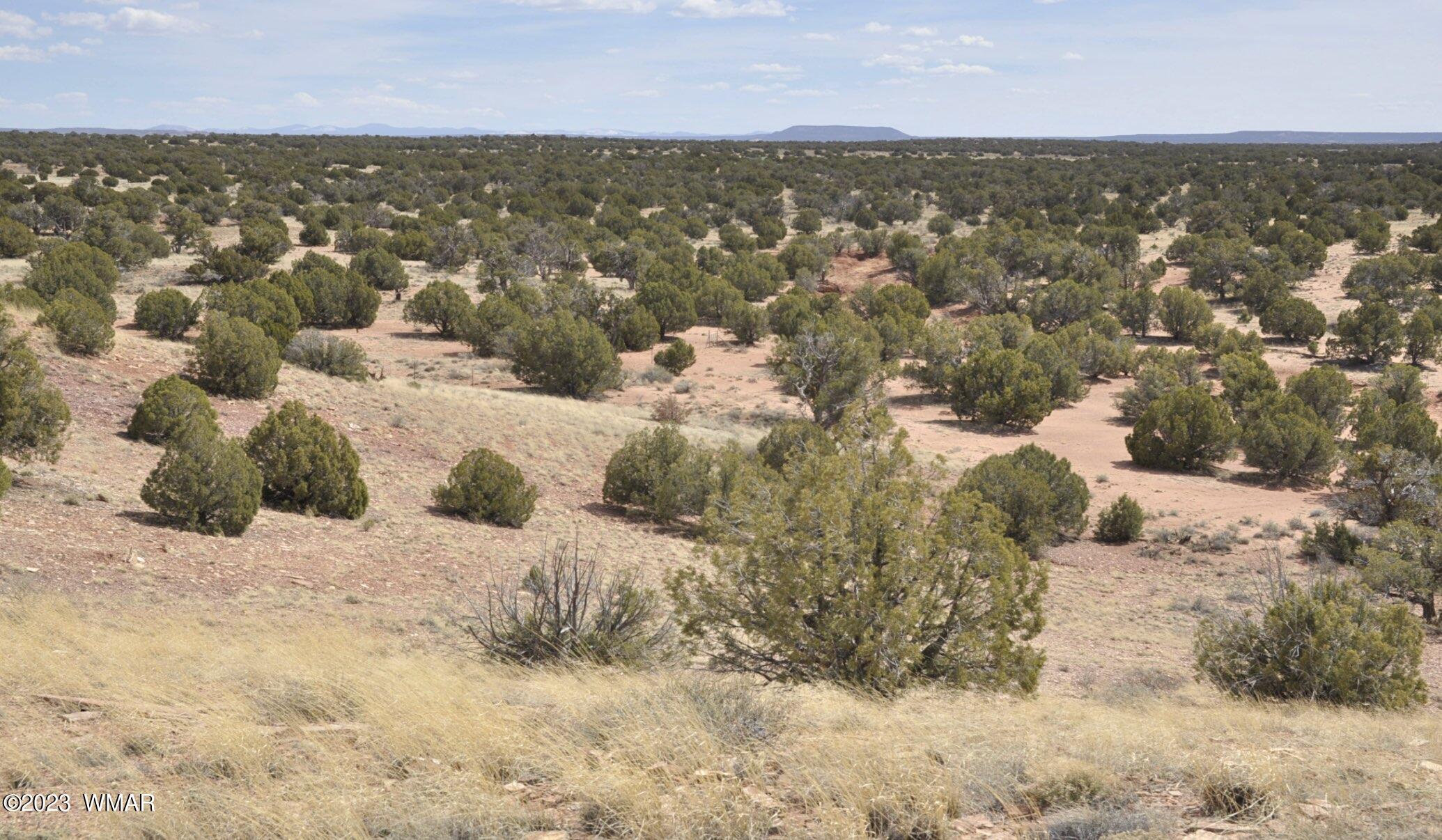 280 County Road Concho, AZ 85924 - Photo 36 of 45