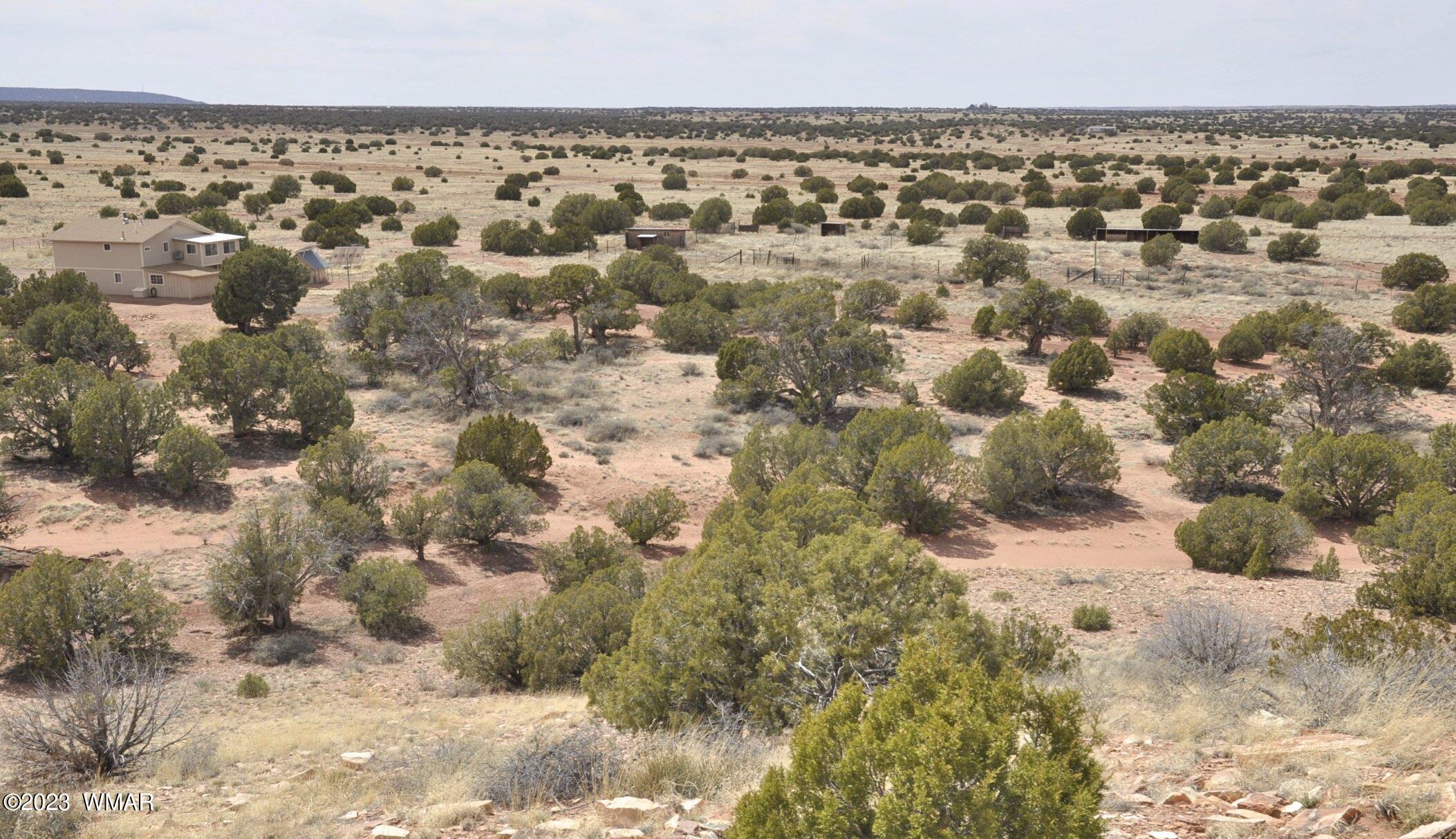 280 County Road Concho, AZ 85924 - Photo 38 of 45