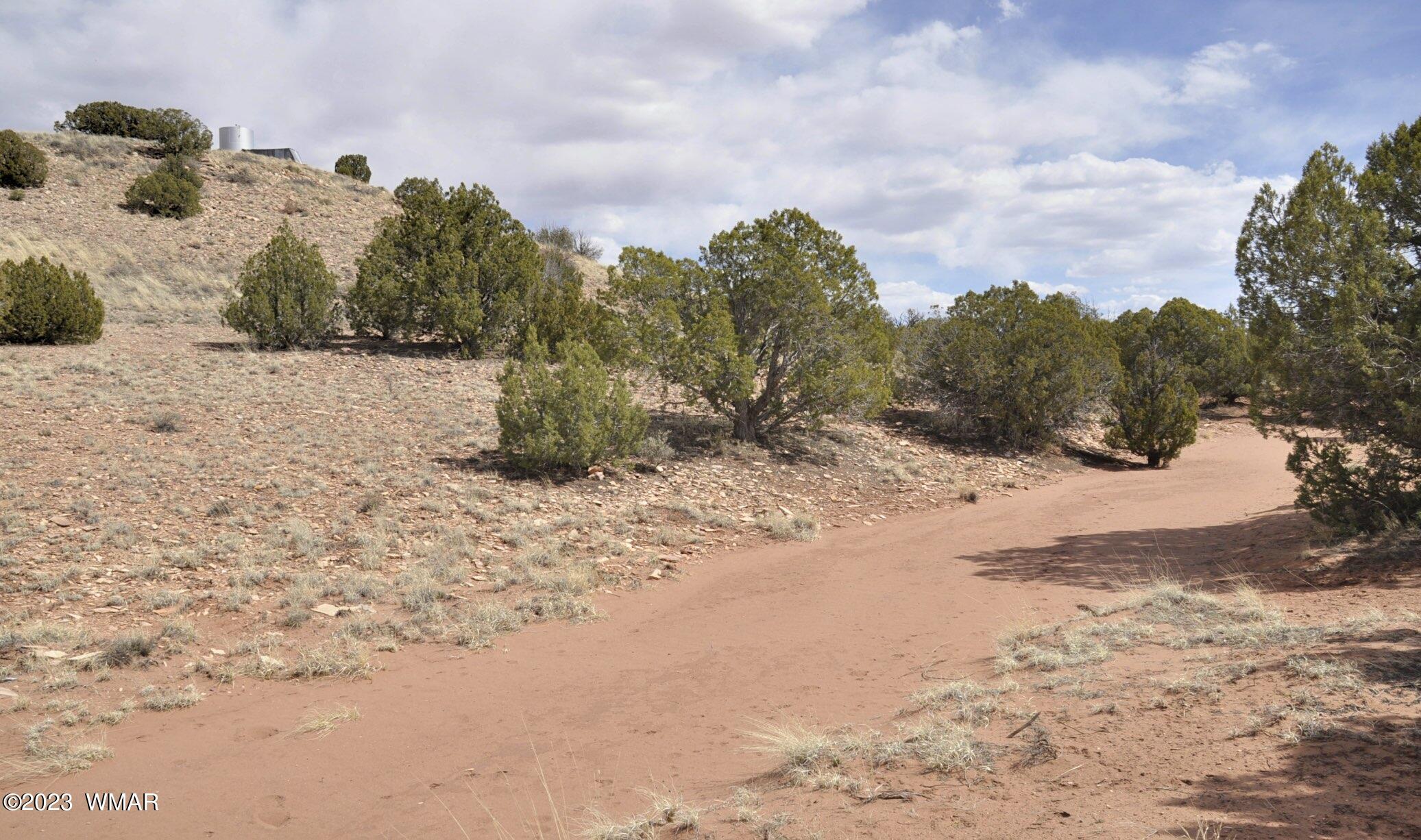 280 County Road Concho, AZ 85924 - Photo 39 of 45