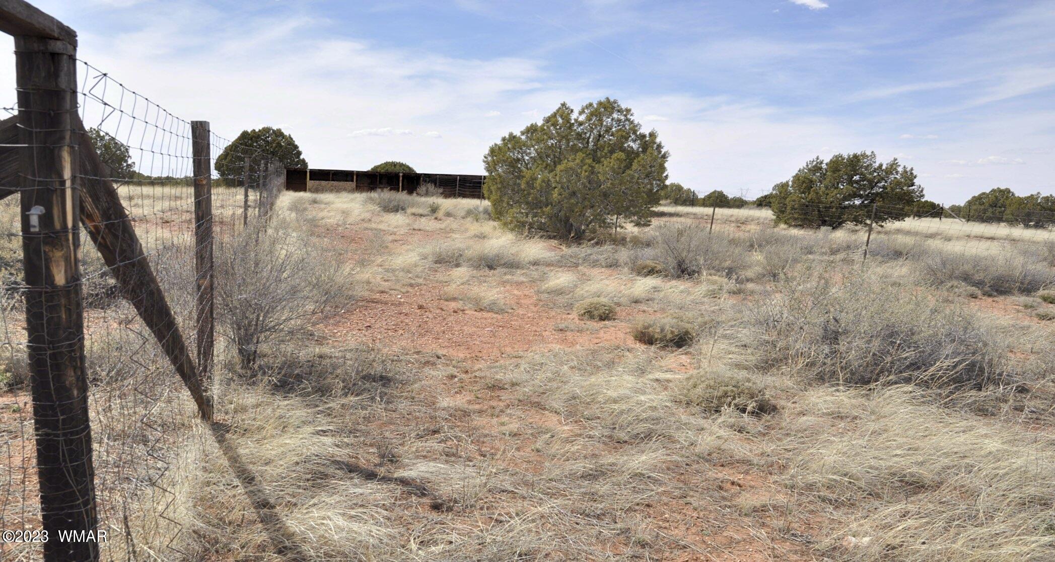280 County Road Concho, AZ 85924 - Photo 40 of 45