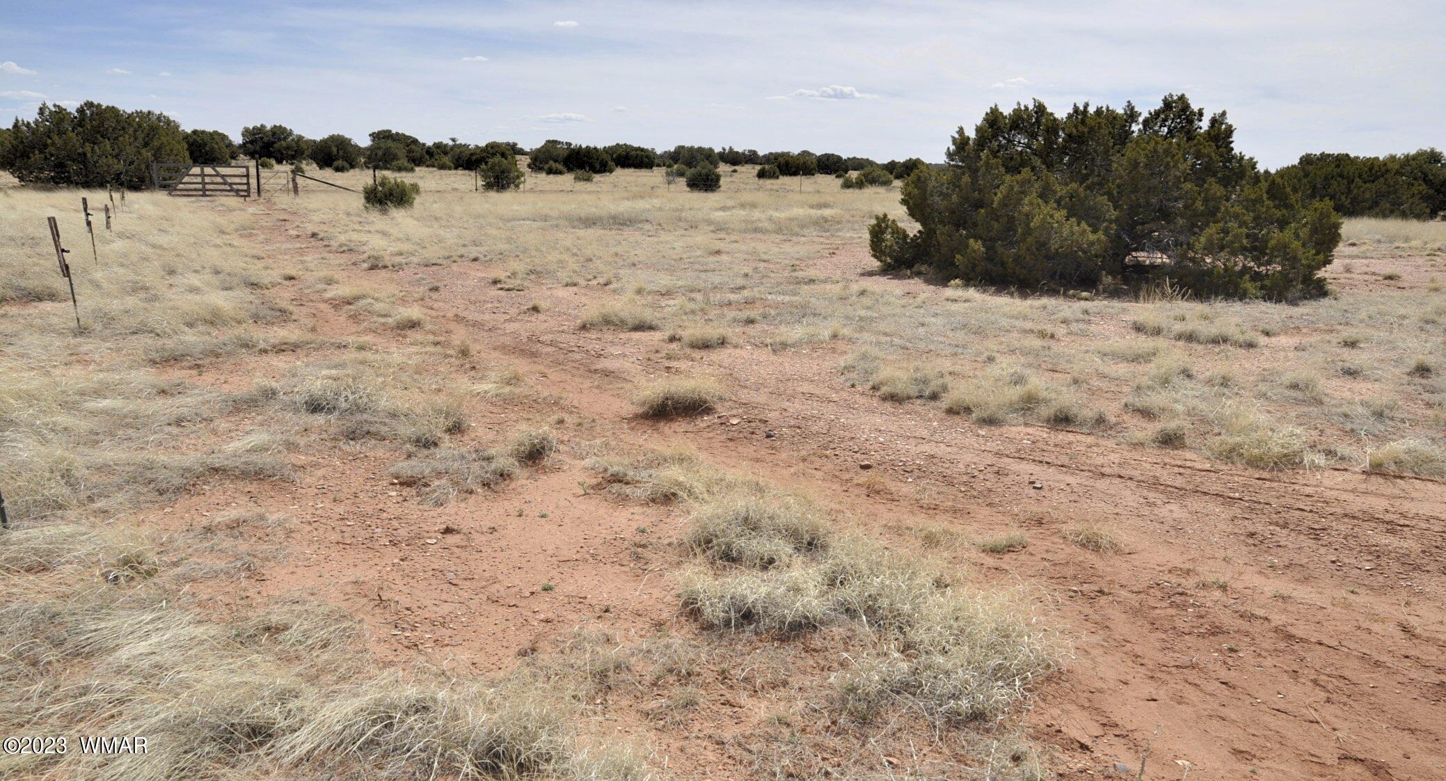 280 County Road Concho, AZ 85924 - Photo 42 of 45