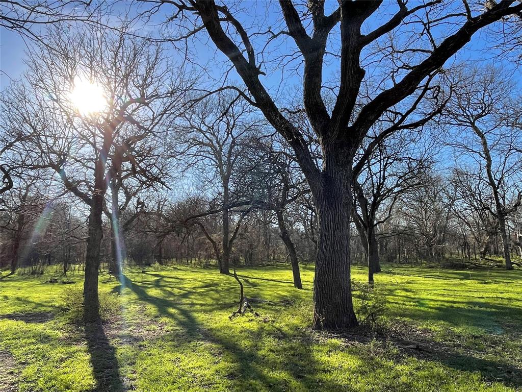 3141 Rogers Road Jacksboro, TX 76458 - Photo 22 of 40