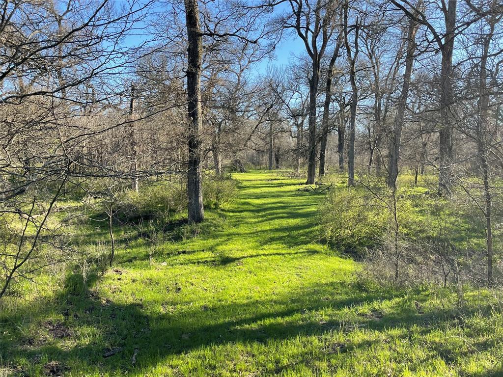 3141 Rogers Road Jacksboro, TX 76458 - Photo 23 of 40