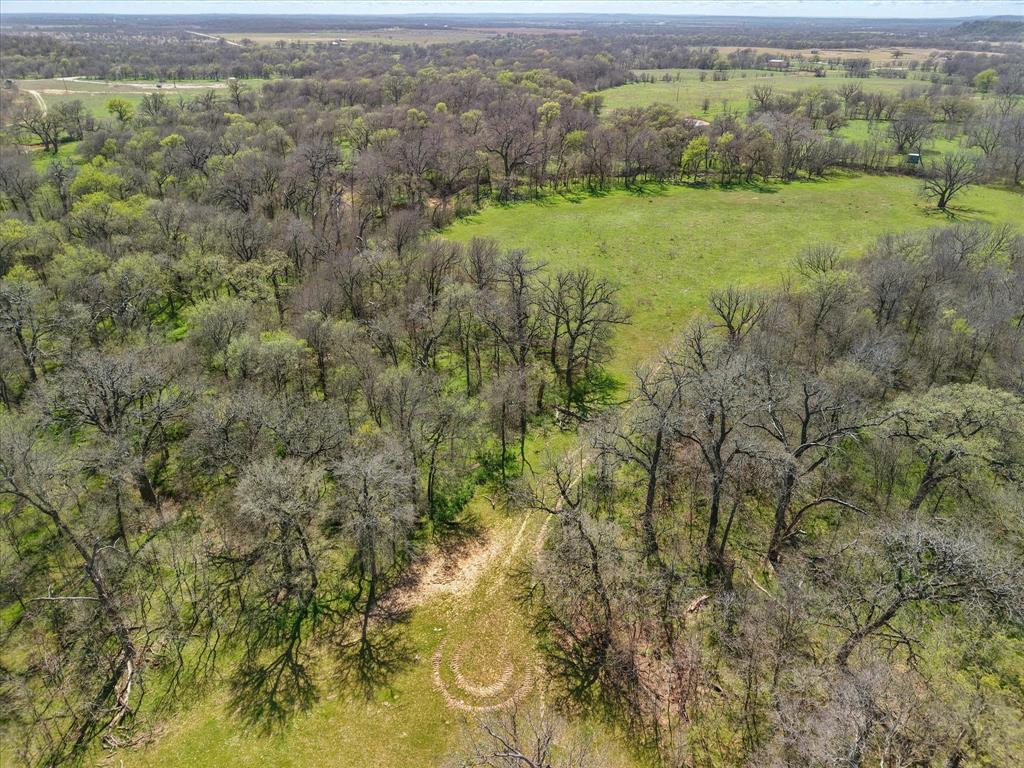 3141 Rogers Road Jacksboro, TX 76458 - Photo 27 of 40 Aerial view featuring a view of trees