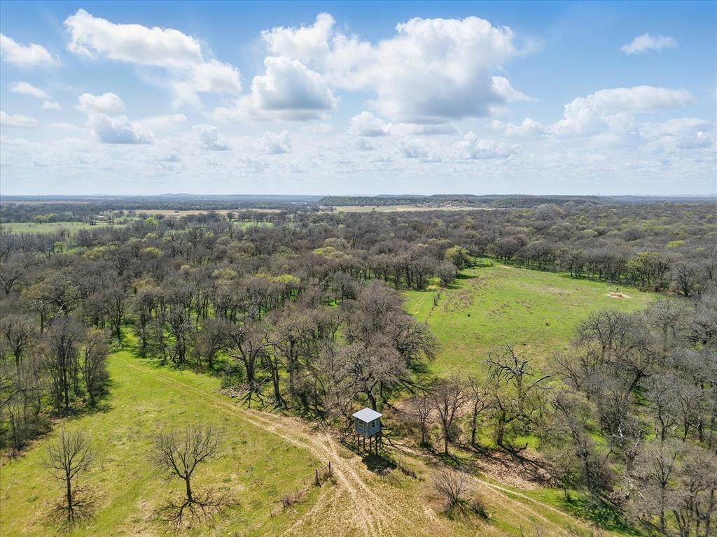 3141 Rogers Road Jacksboro, TX 76458 - Photo 31 of 40 Bird's eye view with a wooded view