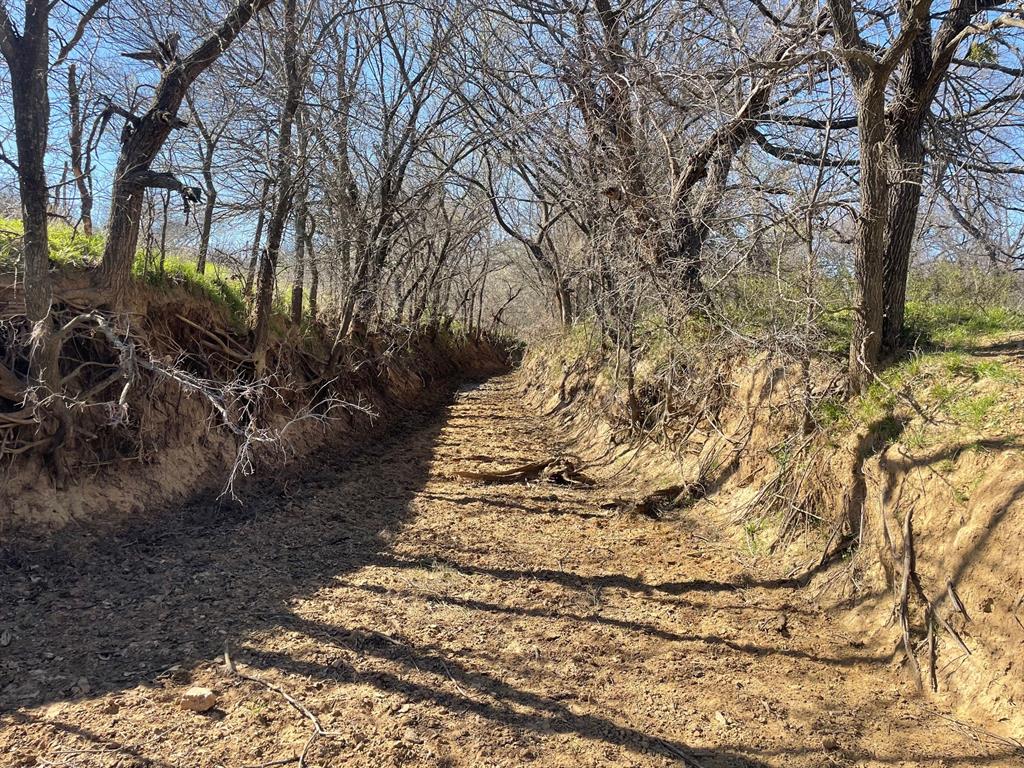 3141 Rogers Road Jacksboro, TX 76458 - Photo 39 of 40 Creek bottom for watershed