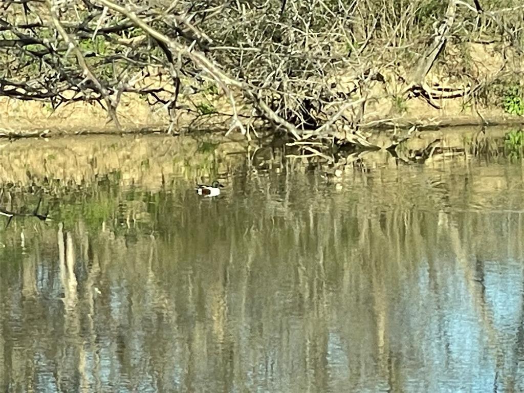 3141 Rogers Road Jacksboro, TX 76458 - Photo 7 of 40