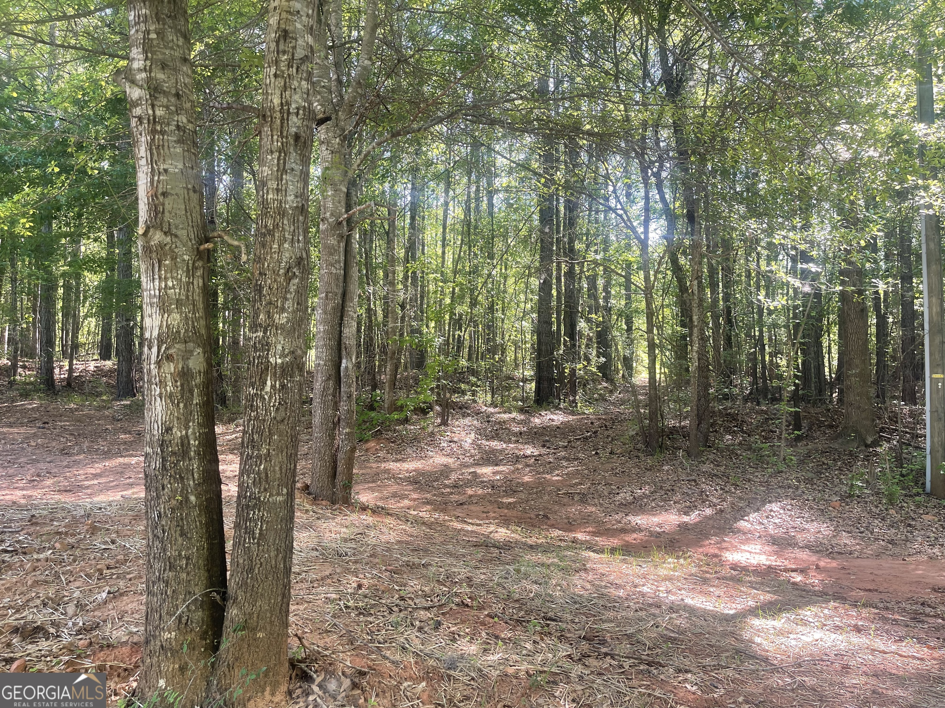 0 Fincher Road Covington, GA 30016 - Photo 2 of 5 a view of a forest with trees
