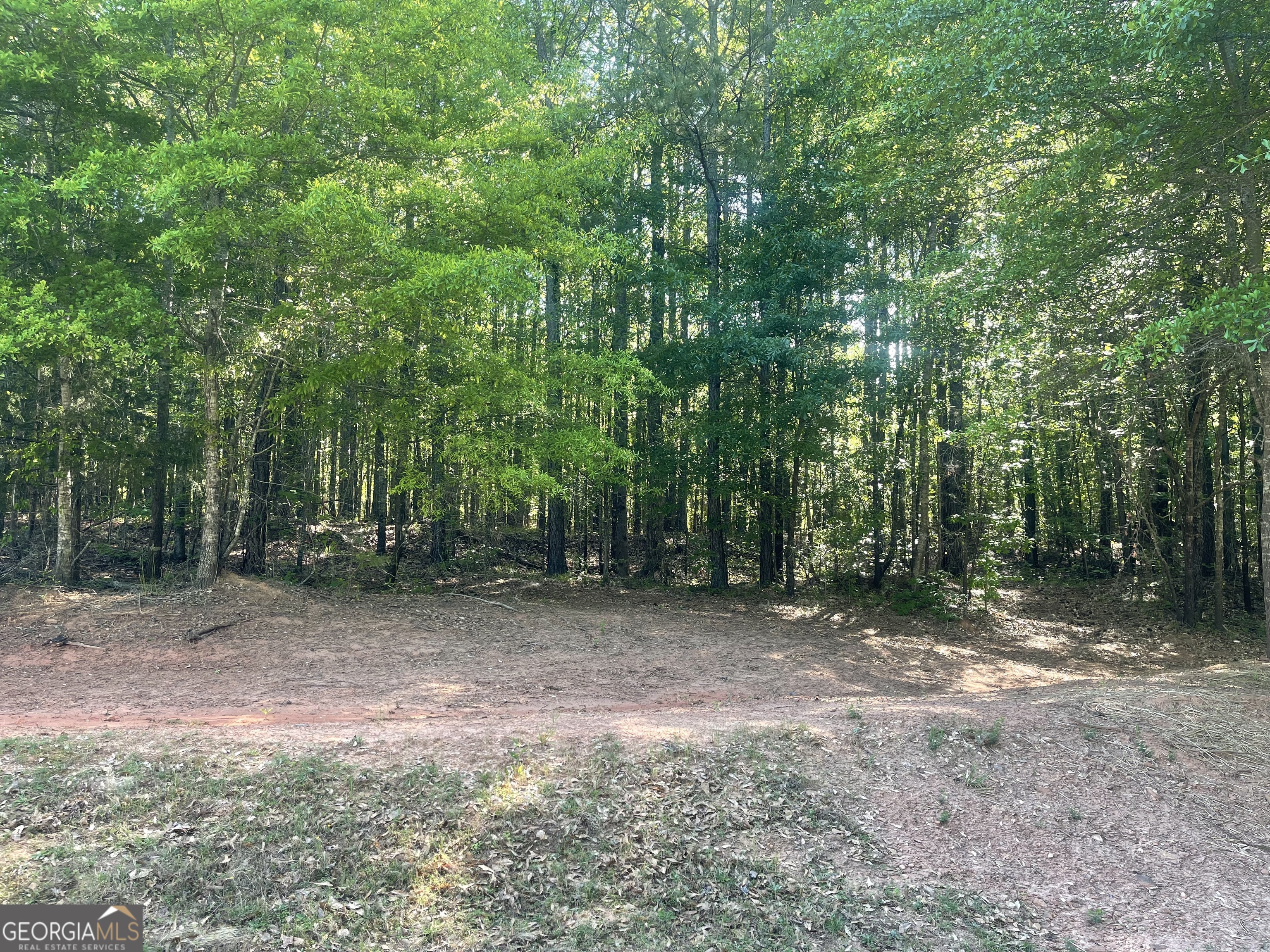 0 Fincher Road Covington, GA 30016 - Photo 3 of 5 a view of a forest with trees in the background