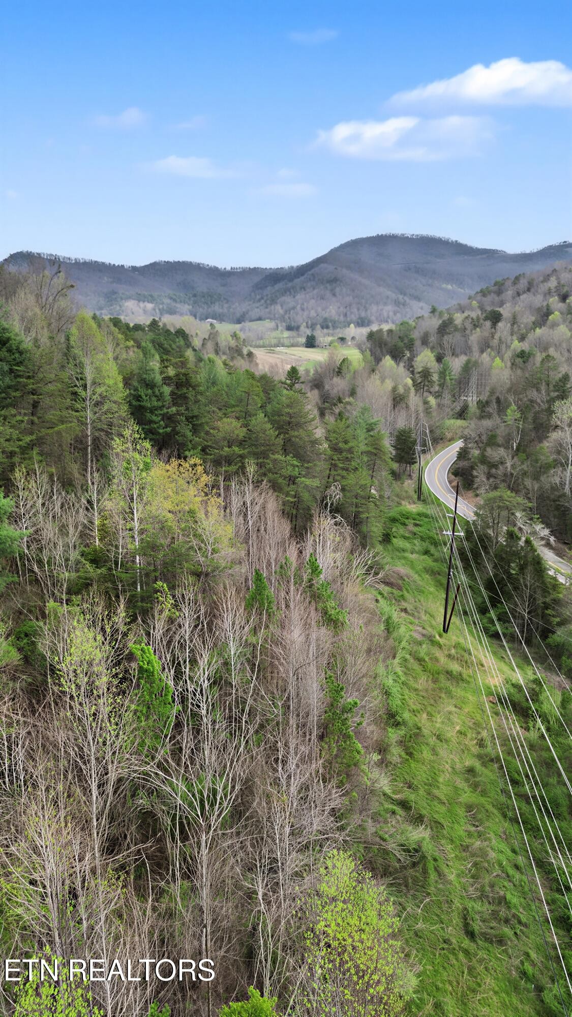 0 Wears Valley Road Townsend, TN 37882 - Photo 18 of 31 Gallery Image 18