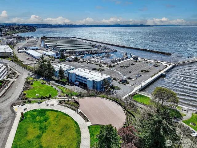 an aerial view of a house with a garden and swimming pool