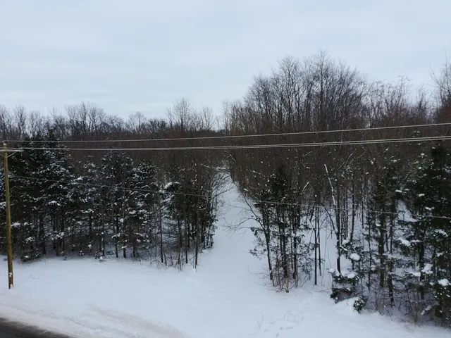 $219,900 | 55901 Colby Street, Dowagiac, MI 49047