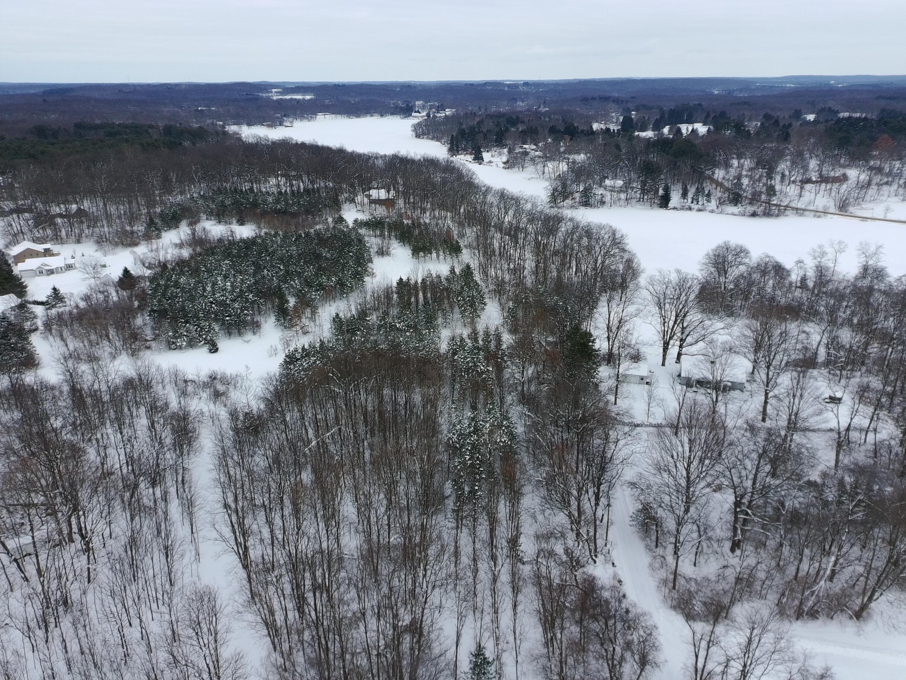 55901 Colby Street Dowagiac, MI 49047 - Photo 3 of 12 PTSC_0462
