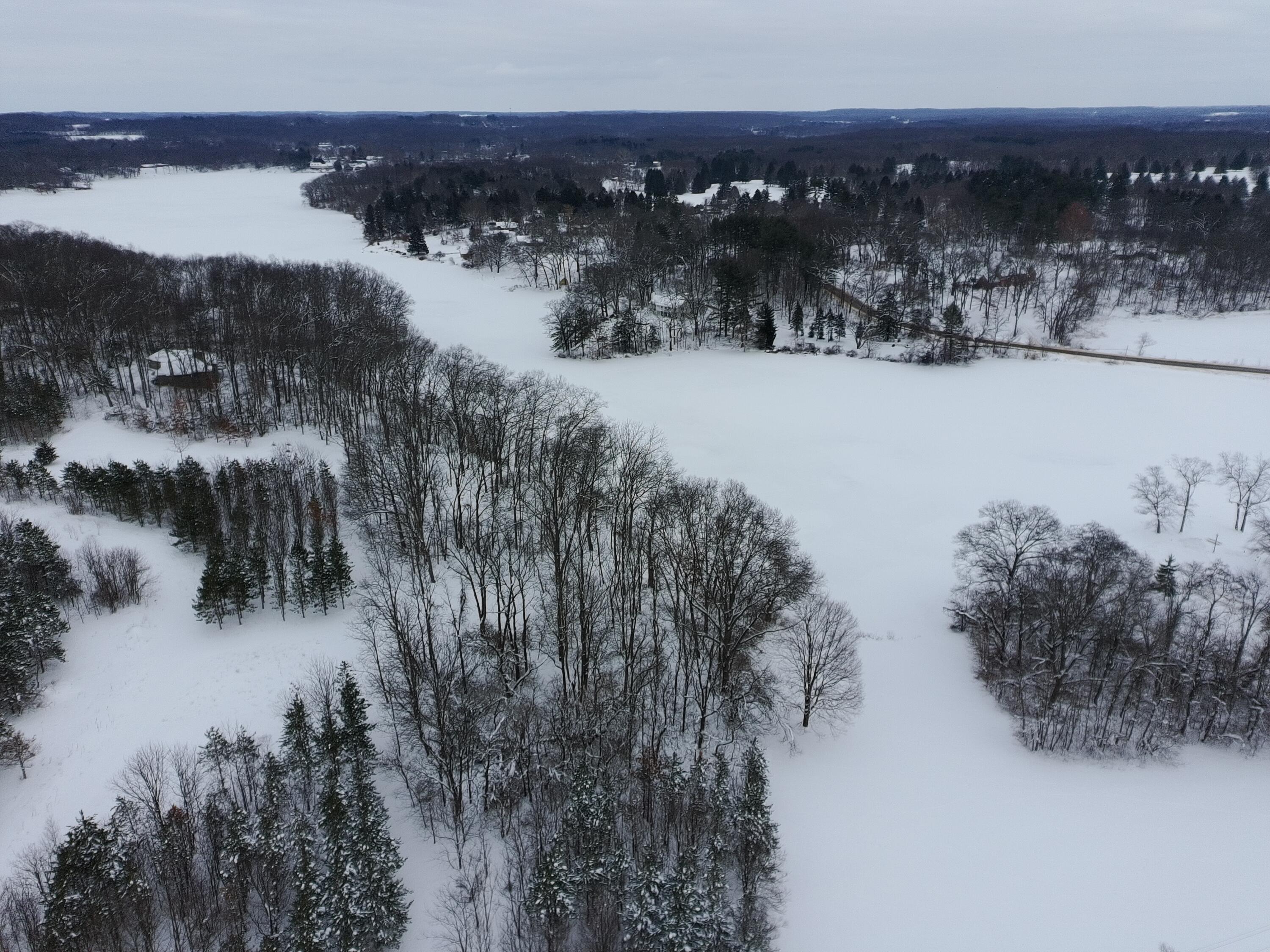 55901 Colby Street Dowagiac, MI 49047 - Photo 4 of 12 PTSC_0463