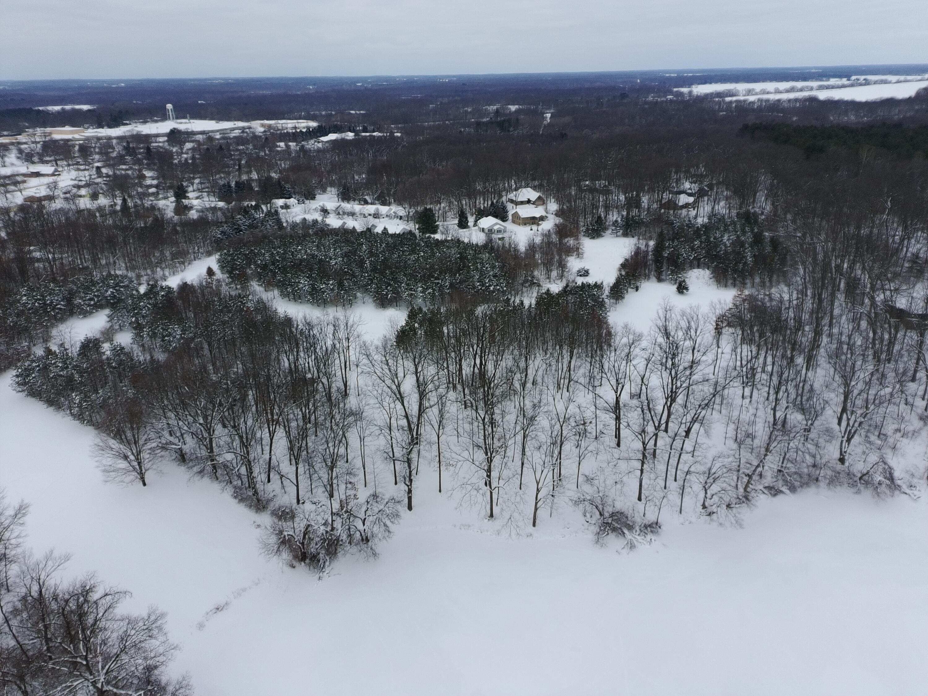 55901 Colby Street Dowagiac, MI 49047 - Photo 5 of 12 PTSC_0464