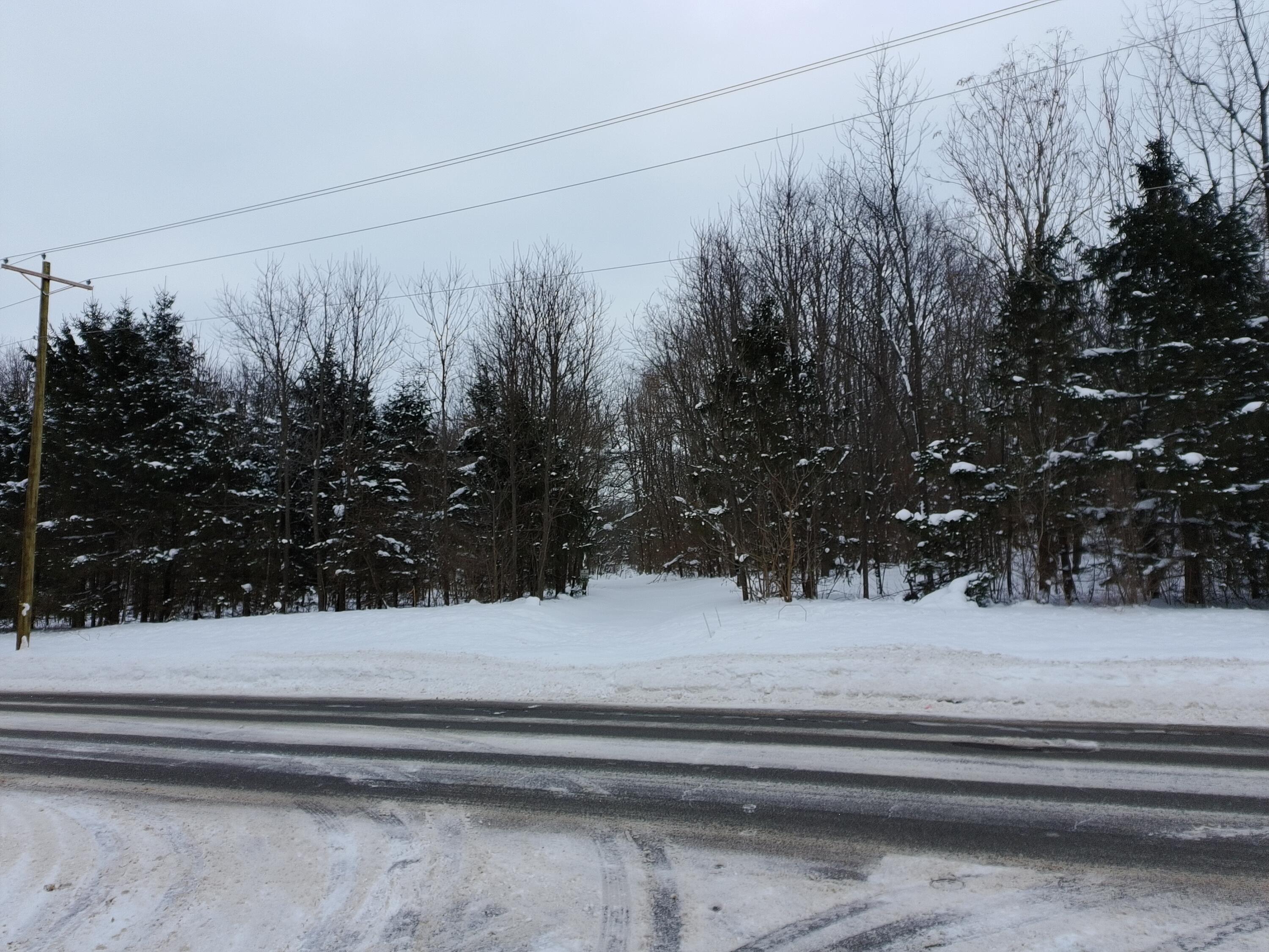 55901 Colby Street Dowagiac, MI 49047 - Photo 10 of 12 PTSC_0469