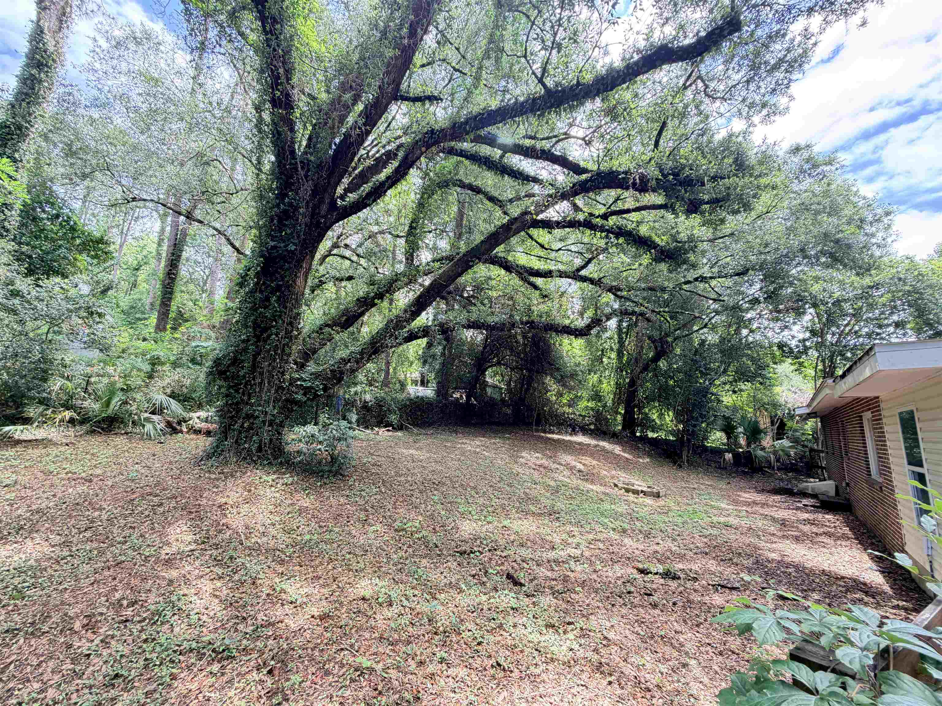2202 West Mission Road Tallahassee, FL 32304 - Photo 28 of 28 Gallery Image 28