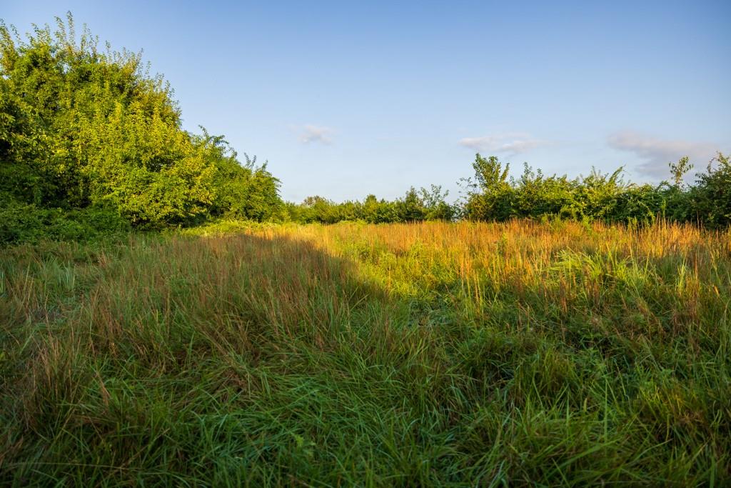 14769 Northeast State Route East Adrian, MO 64720 - Photo 67 of 92 Gallery Image 67