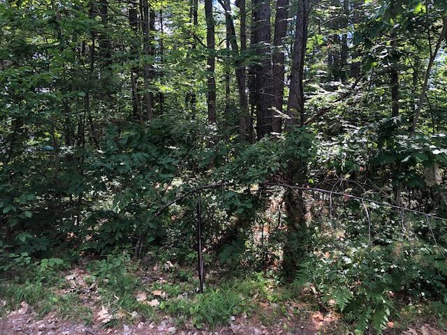 Lot 90 Nottingham Road East Wakefield, NH 03830 - Photo 4 of 5 Gallery Image 4