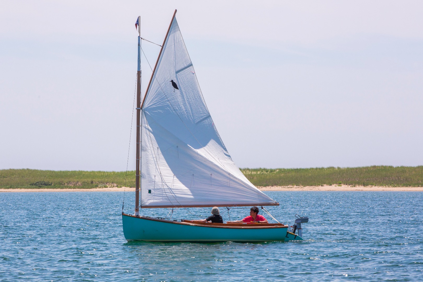 50 Oyster Watcha Road Edgartown, MA 02539 - Photo 17 of 44 a view of a garden with an ocean