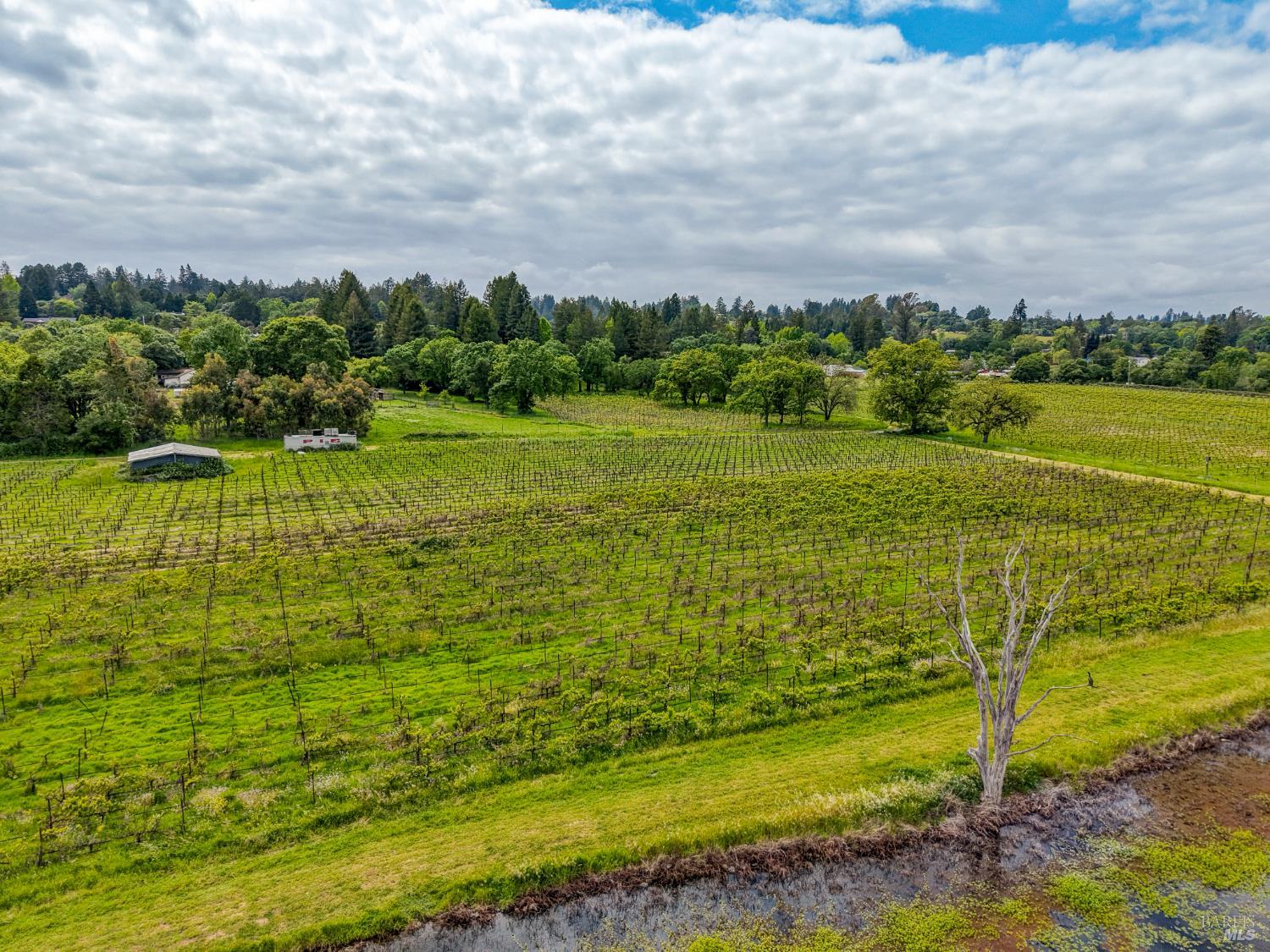 9700 Mill Station Road Sebastopol, CA 95472 - Photo 26 of 50