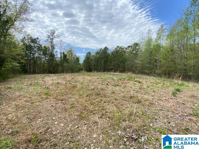 7550 Deer Haven Road, Unit 578 / AC Springville, AL 35146 - Photo 41 of 45 Gallery Image 41