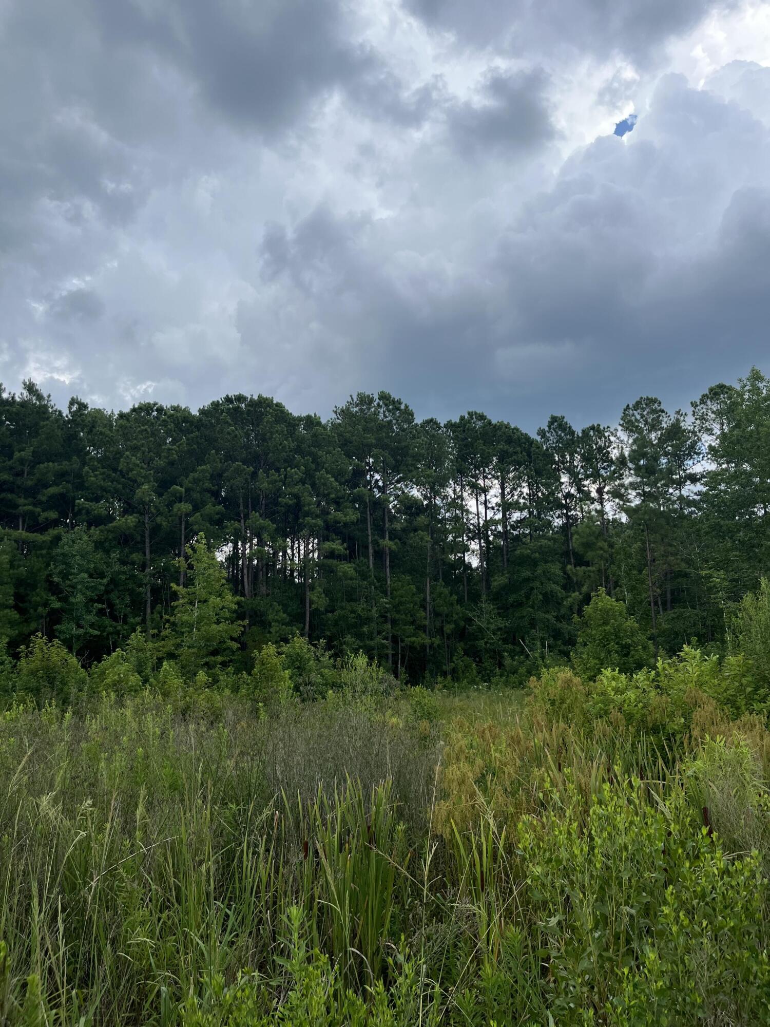 0 Yaremich Road Moncks Corner, SC 29461 - Photo 5 of 6 5_beyc6ab71950d494b