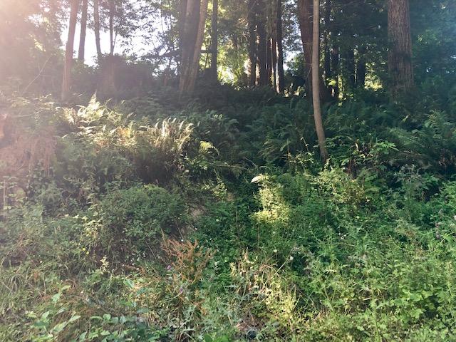 9.25-acre Eggert Road Eureka, CA 95503 - Photo 26 of 29