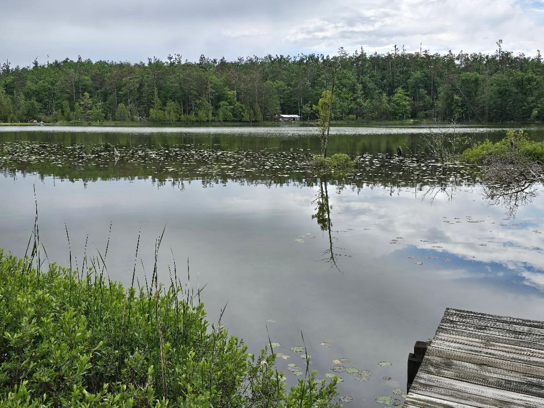 8826 Lake May Road Hawks, MI 49743 - Photo 10 of 20 Gallery Image 10