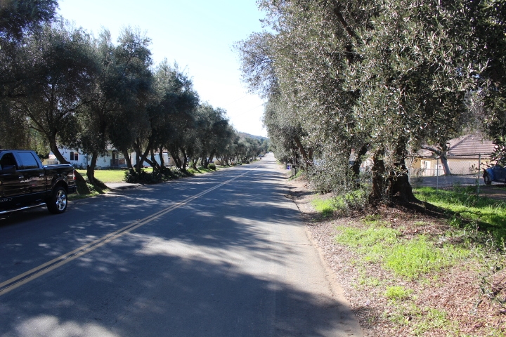East Lakeview Road Lakeside, CA 92040 - Photo 4 of 4 Gallery Image 4