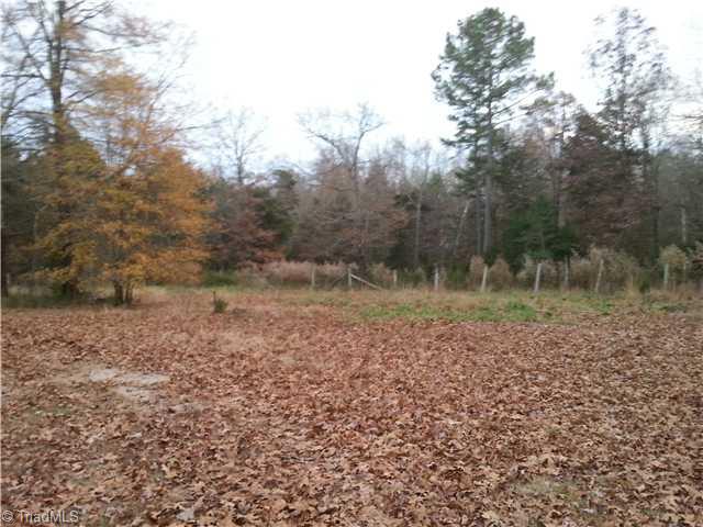 9217 Riverside Road Seagrove, NC 27341 - Photo 6 of 9 Land.