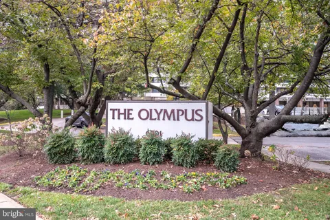 a sign that is sitting in front of a tree