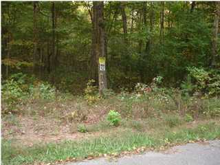 12 Pete Green Road Dunlap, TN 37327 - Photo 1 of 1 Primary Photo
