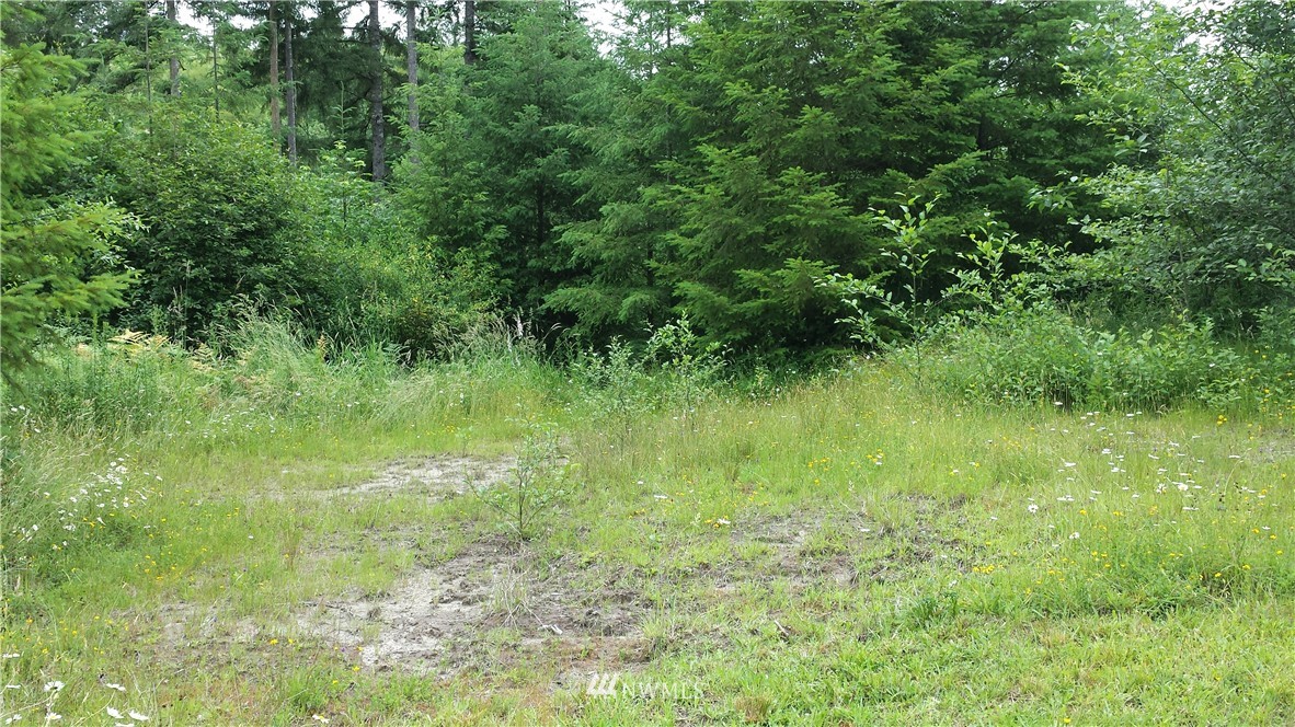 109 Dowling Road Toledo, WA 98591 - Photo 1 of 8