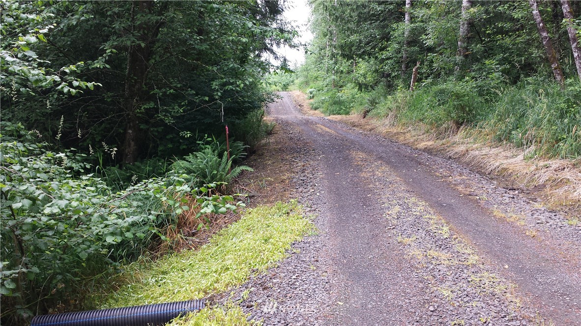 109 Dowling Road Toledo, WA 98591 - Photo 6 of 8