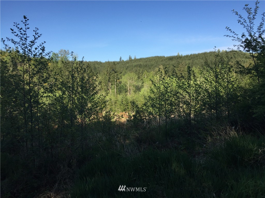 109 Dowling Road Toledo, WA 98591 - Photo 8 of 8
