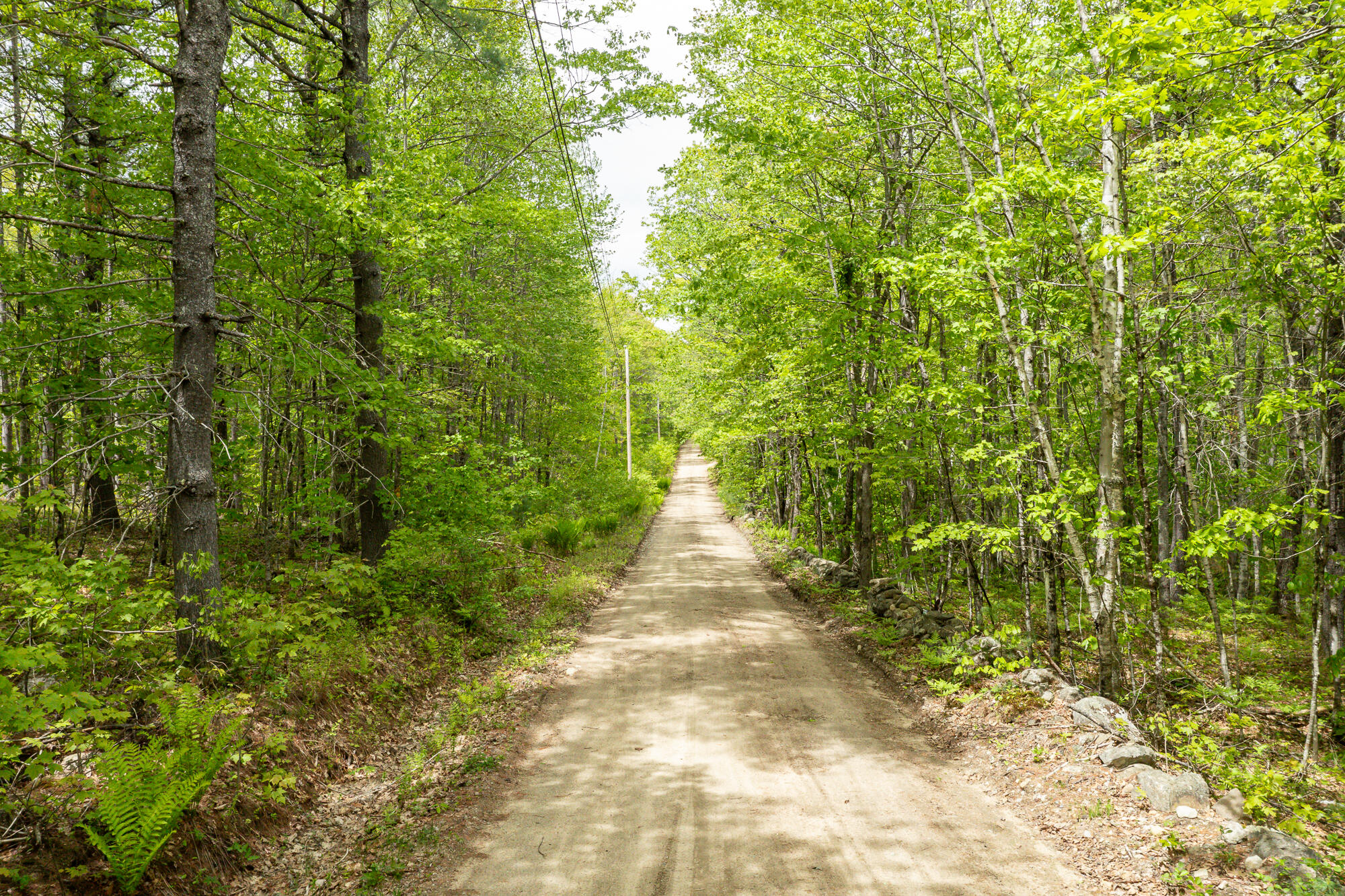 84 Hobbs Road West Newfield, ME 04095 - Photo 5 of 13 Hobbs Road