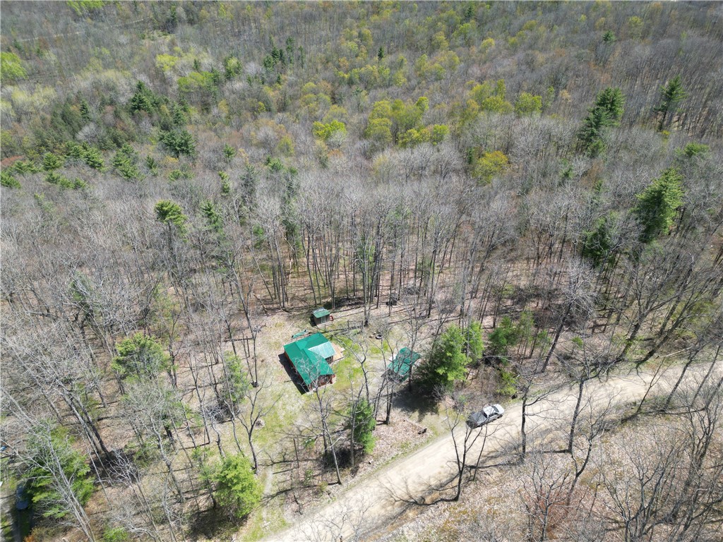 4408 Bush Hill Road Canisteo, NY 14823 - Photo 32 of 35