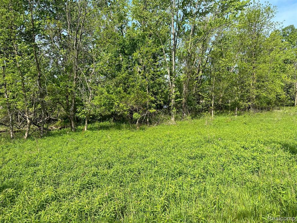 D North Holly Road Holly, MI 48442 - Photo 19 of 27