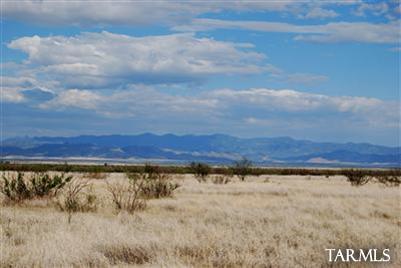 0 East Indian Ridge Road Pearce, AZ 85625 - Photo 9 of 22
