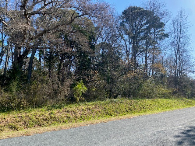 Lot 5 Hideaway Cove Road, Unit 5 Exmore, VA 23350 - Photo 3 of 7