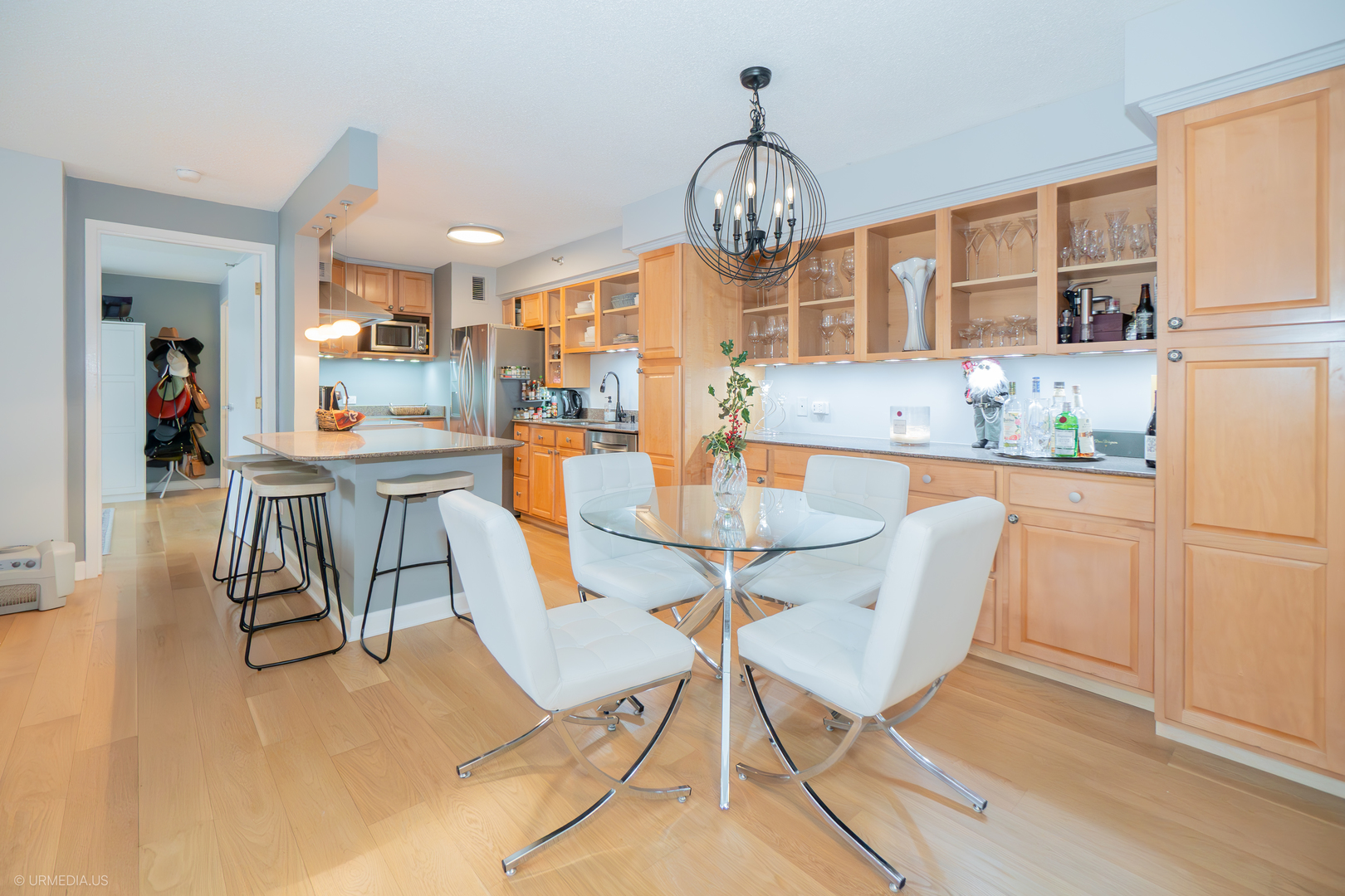 1250 North Dearborn Street, Unit 5B Chicago, IL 60610 - Photo 13 of 50